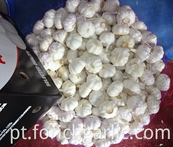 Export New Pure Garlic